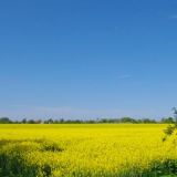 x0113 von Jochen Ruser